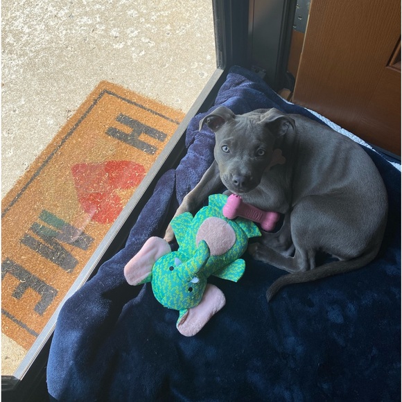 Meet your Posher, Julie - Picture 6 of 6